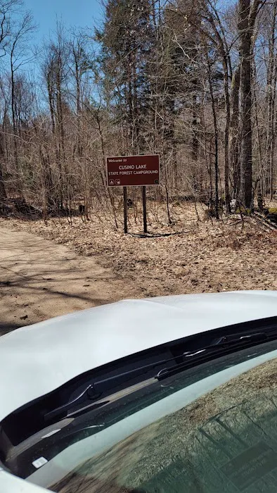 Cusino Lake State Forest Campground Picture 4