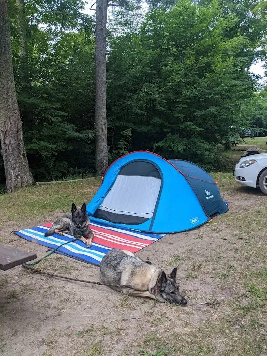 Ross Lake State Campground Picture 10
