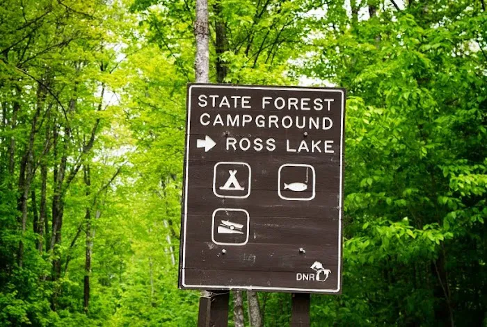Ross Lake State Campground Picture 3
