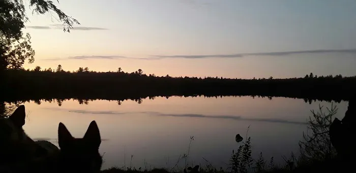 Canoe Lake State Forest Campground Picture 1