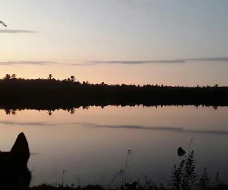 Canoe Lake State Forest Campground