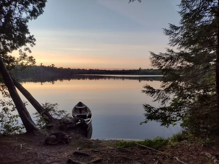 Canoe Lake State Forest Campground Picture 2