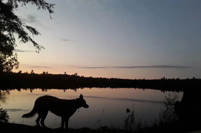 Canoe Lake State Forest Campground Picture 5