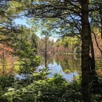 Kingston Lake State Forest Campground ico