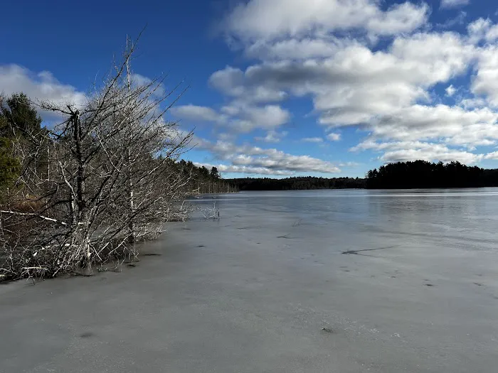 Kingston Lake State Forest Campground Picture 2