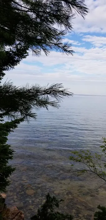 Au Sable East Campground Picture 3