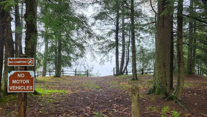 South Gemini Lake State Forest Campground Picture 4