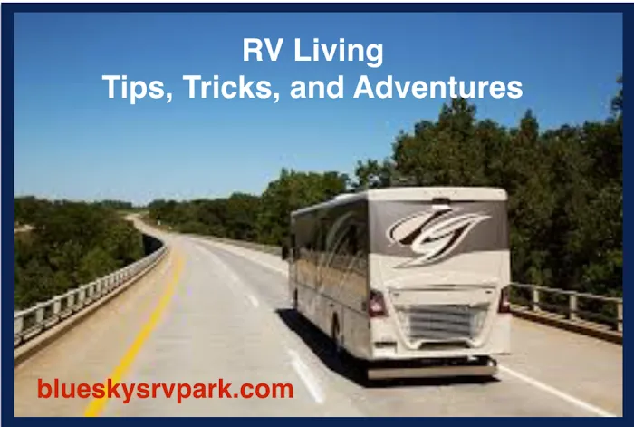 Blue Sky'S Rv Park Picture 9