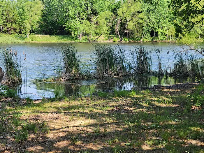 Rustic Trails RV Park Picture 4