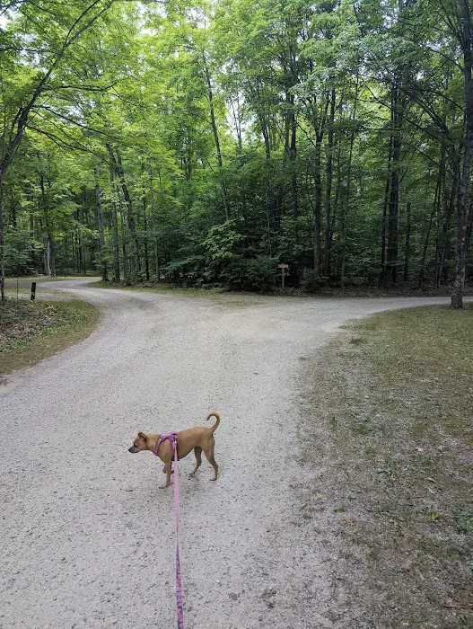Indian Lake West Shore Campground Picture 10
