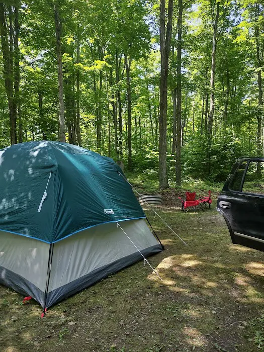 Indian Lake West Shore Campground Picture 8