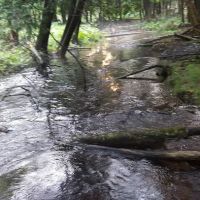 Indian Lake West Shore Campground ico