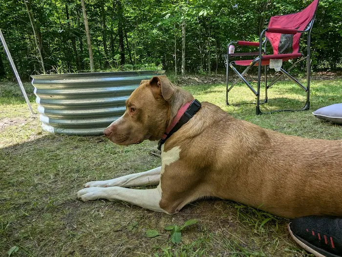 West Shore Campground - Indian Lake State Park Picture 7