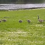 Lake Meadows RV Park