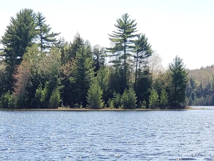 Little Bass Lake Campground Picture 8