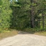 Bear Lake Dispersed Campsite