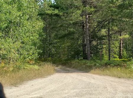 Bear Lake Dispersed Campsite