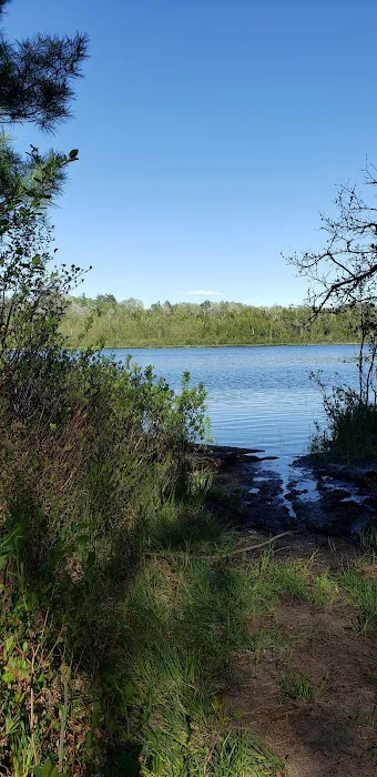 Bear Lake Dispersed Campsite Picture 7