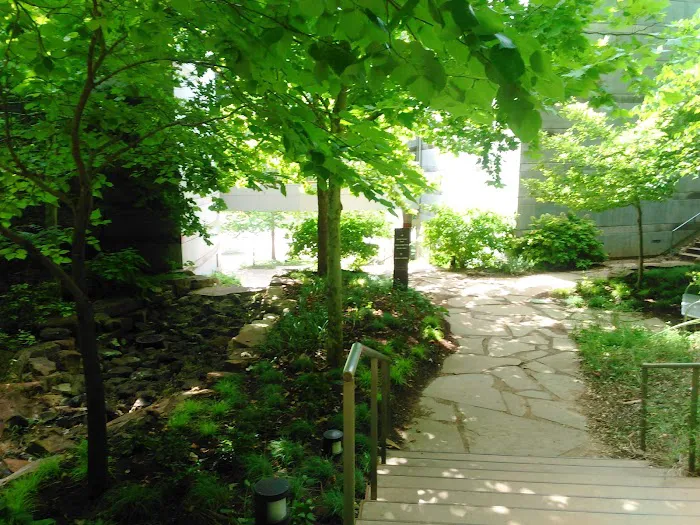 Green Tree RV Park Picture 4