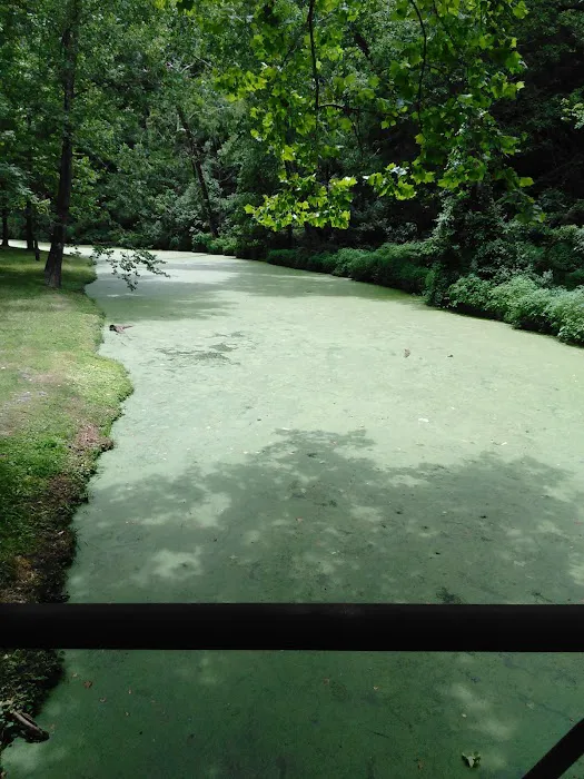 Green Tree RV Park Picture 3