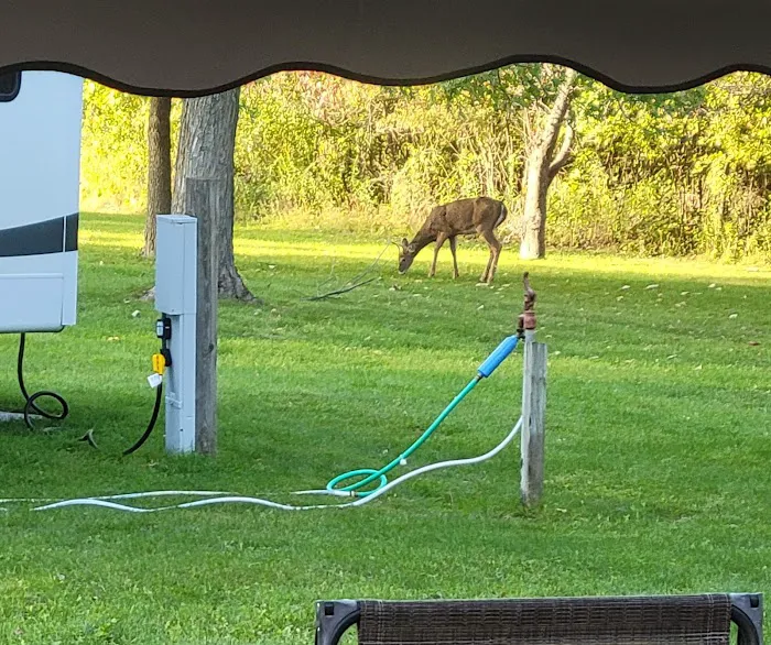 Bald Eagle Campground Picture 7