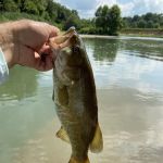 Illinois River RV Park Campground & Floats, Kayaking & Rafting