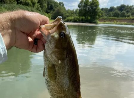Illinois River RV Park Campground & Floats, Kayaking & Rafting