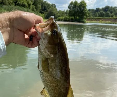 Illinois River RV Park Campground & Floats, Kayaking & Rafting