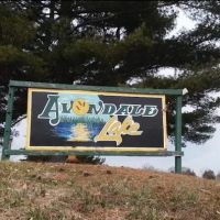 Avondale Lake ico