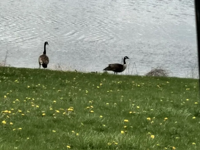 Citizen's Lake Campground Picture 9