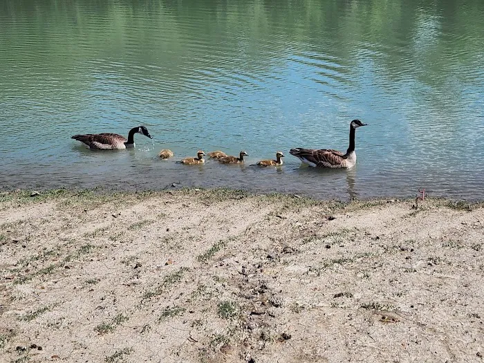 Giant Goose Ranch Picture 9
