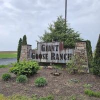 Giant Goose Ranch ico