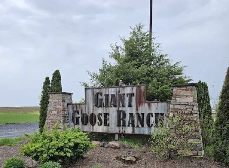 Giant Goose Ranch