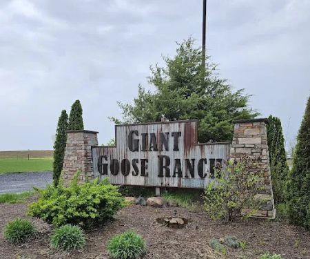 Giant Goose Ranch