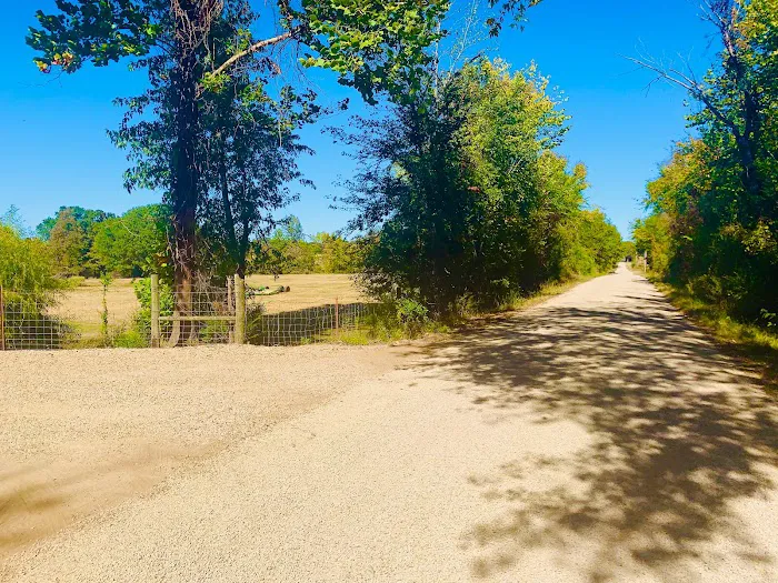 The Lazy Daisy RV Park Picture 2