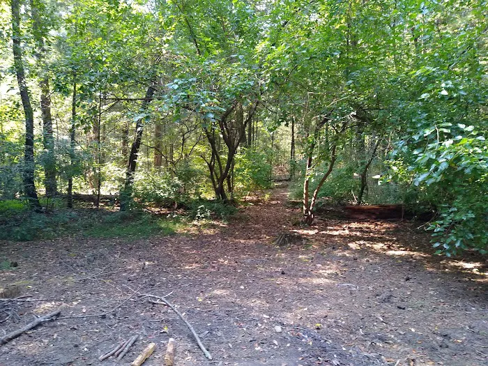 Pine Campground Picture 2