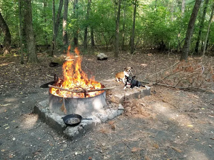 Pine Campground Picture 7