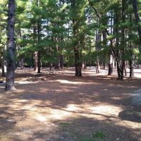 Pine Campground ico