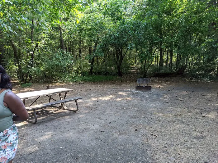 Pine Campground Picture 8