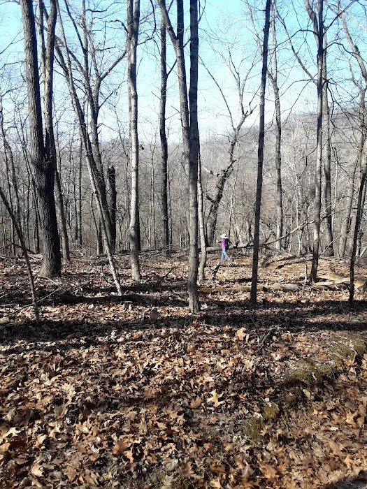 Pine Campground Picture 6