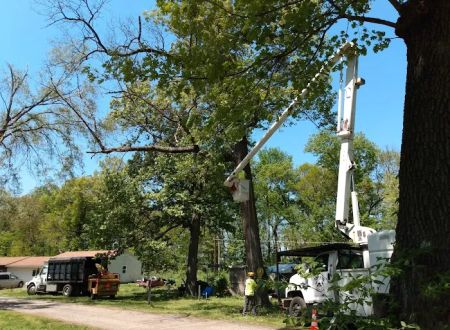 Lost Arrow Campground
