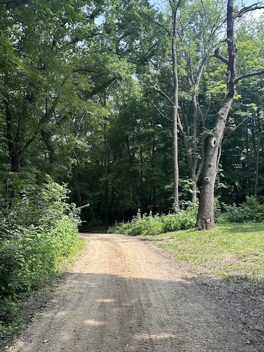 Camp Miss-Elk-Ton Picture 3