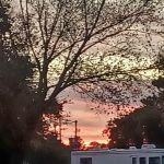 Bayberry RV park back lot