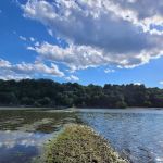 South Sabula Lake Campground