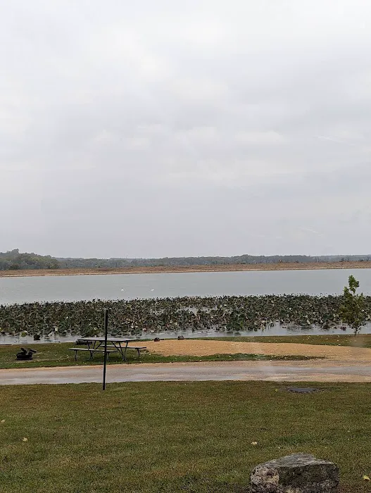 South Sabula Lake Campground Picture 7