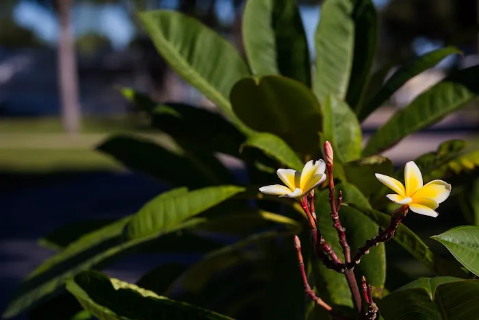 Clearwater Travel Resort Picture 9