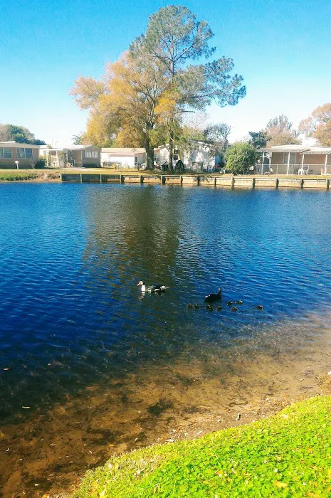Three Lakes Community Picture 5