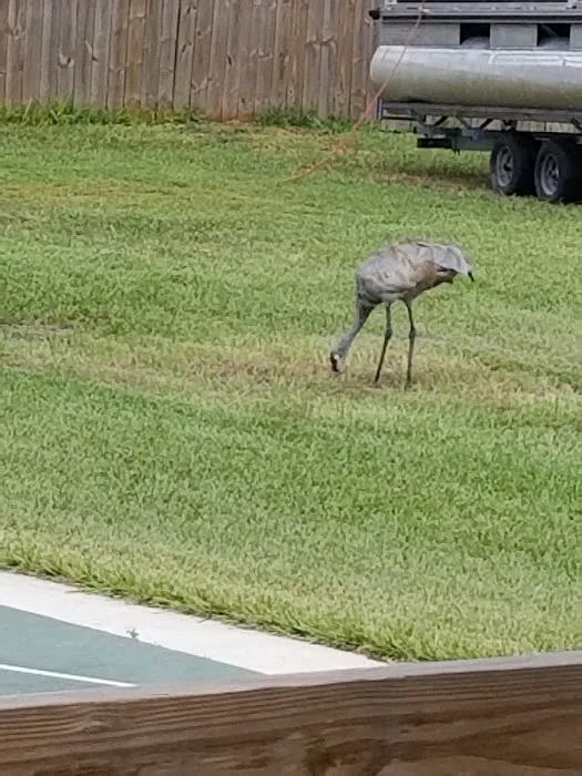 Lake Fox Village Picture 6