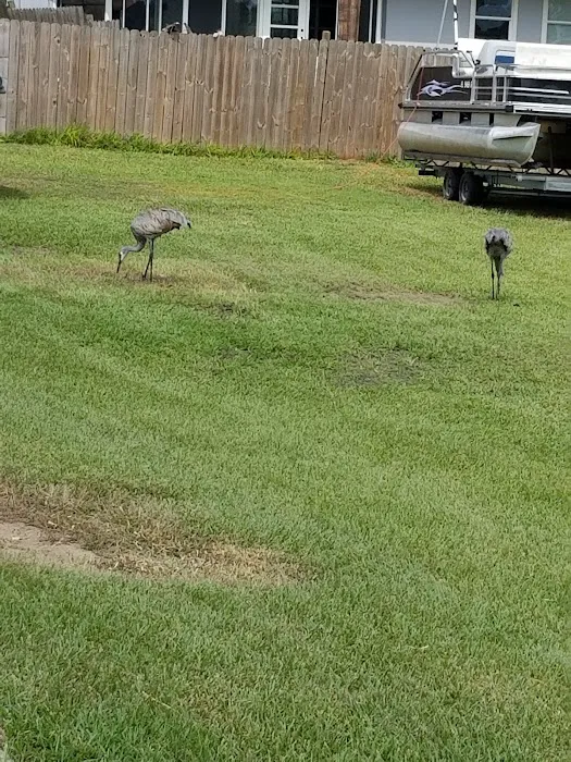 Lake Fox Village Picture 5