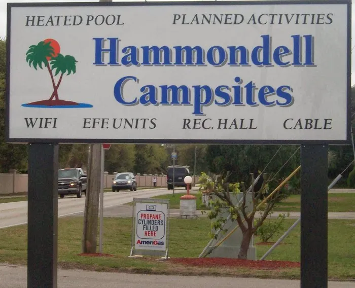 Hammondell Campsites And RV Park Picture 2